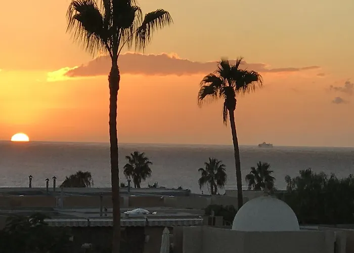 In Tenerife بلايا ذي لاس أميريكاس